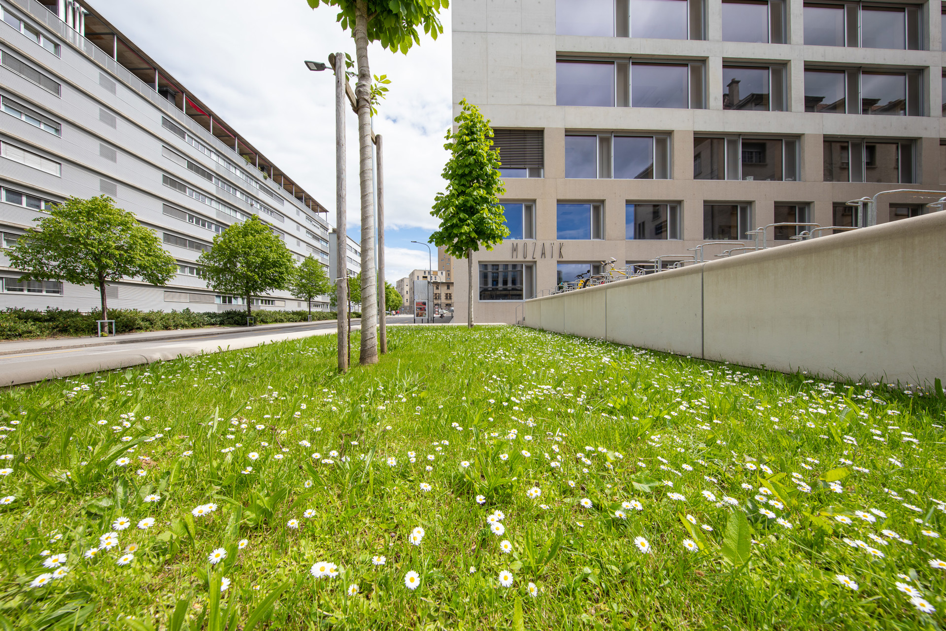 Stemutz Photo Hets Mozaik Exterieur 2400Px 4O3A5909